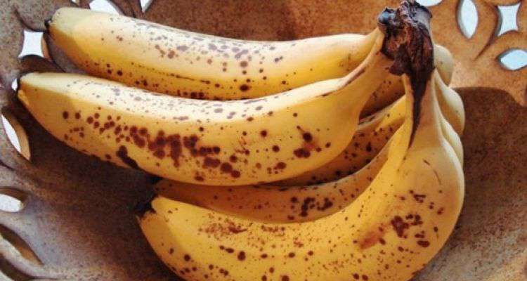 Chớ vội bỏ những trái chuối chín rục có đốm đen đi, chúng sản sinh chất chống ung thư cực tốt