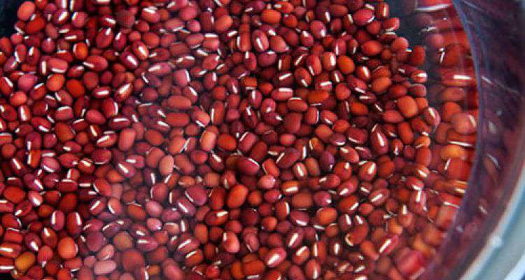 Tôi đã "lột xác" nhờ tắm trắng bằng bột đậu đỏ