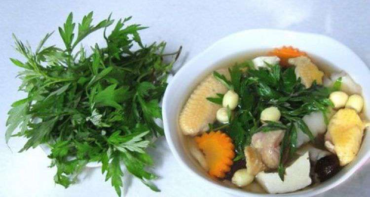 Nguy hại chết người từ ngải cứu – Nếu không biết bạn sẽ hối hận cả đời