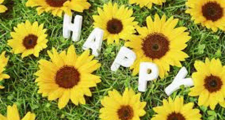 Muốn có cuộc sống hạnh phúc ai cũng nên đọc bài viết này dù chỉ một lần